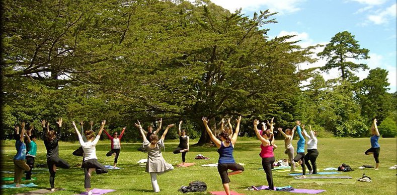 Smart Kashmir Travels Yoga Retreat Package